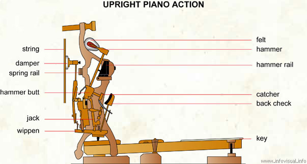 Upright piano action  (Visual Dictionary)
